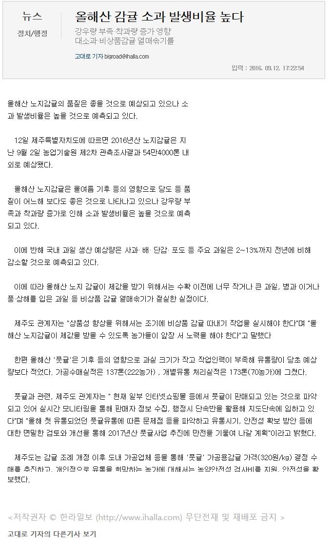 올해산 감귤 소과 발생비율 높다