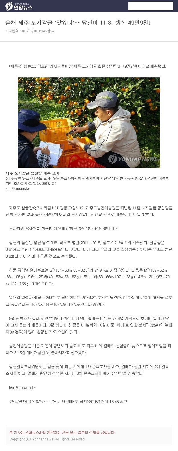 올해 제주 노지감귤 "맛있다"...당산비 11.8 생산 49만9천톤