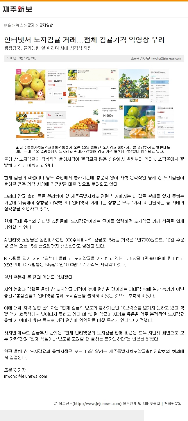 인터넷서 노지감귤 거래.. 전체감귤가격 악영향 우려