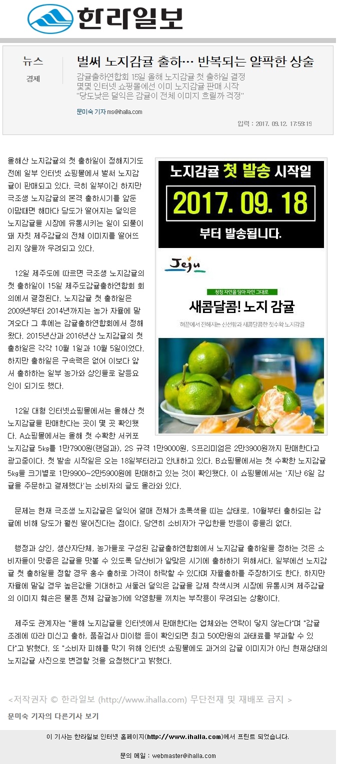 벌써 노지감귤 출하... 반복되는 얄팍한 상술