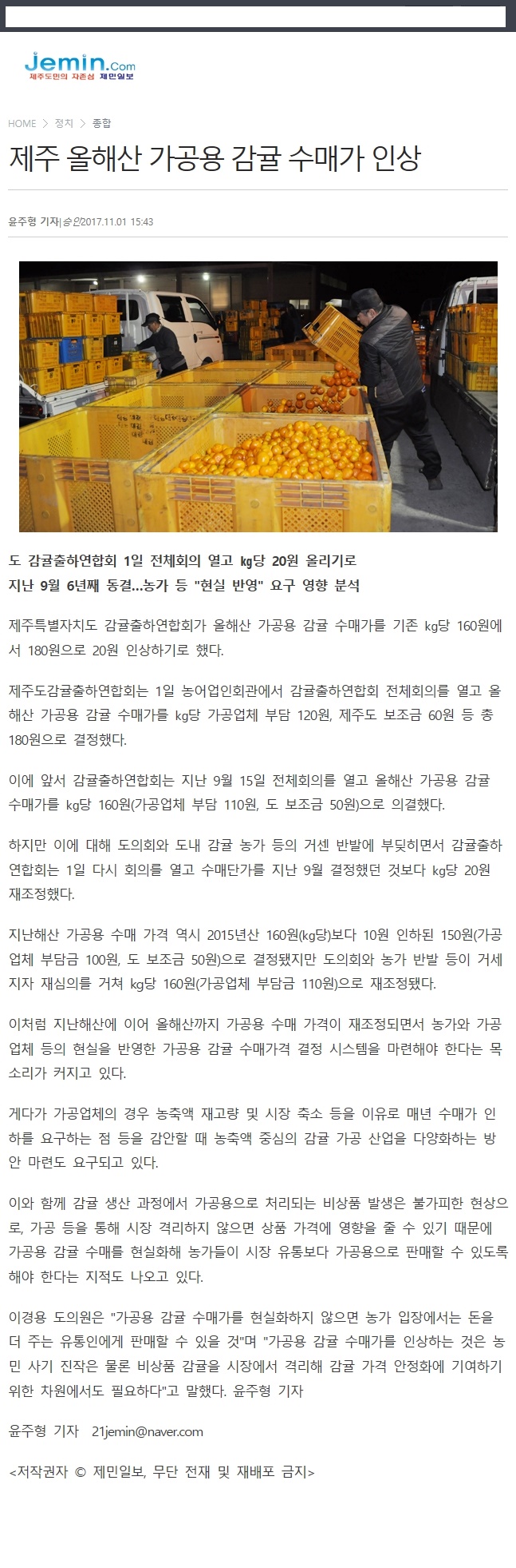 제주 올해산 가공용 감귤 수매가 인상
