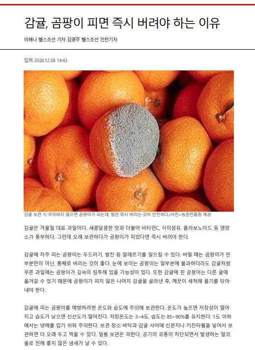 감귤, 곰팡이 피면 즉시 버려야 하는 이유