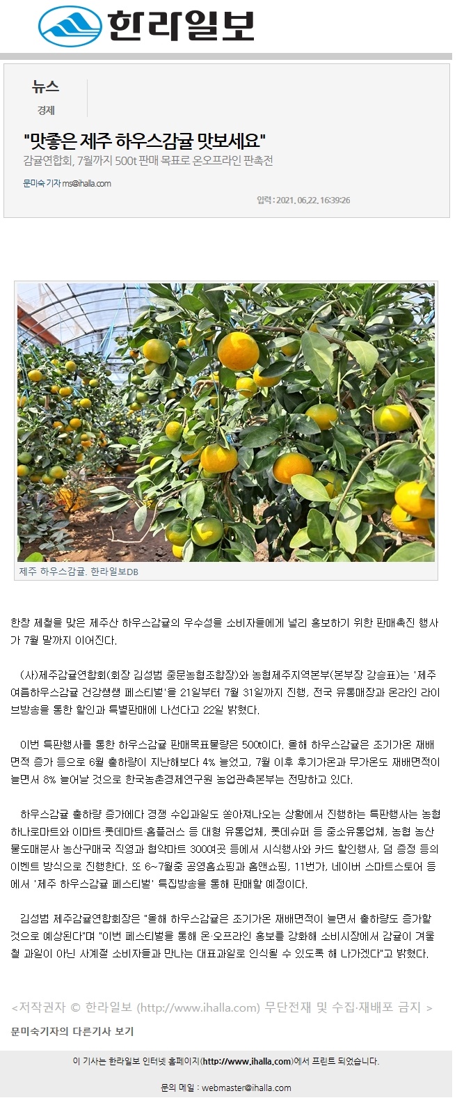 맛좋은 제주 하우스감귤 맛보세요