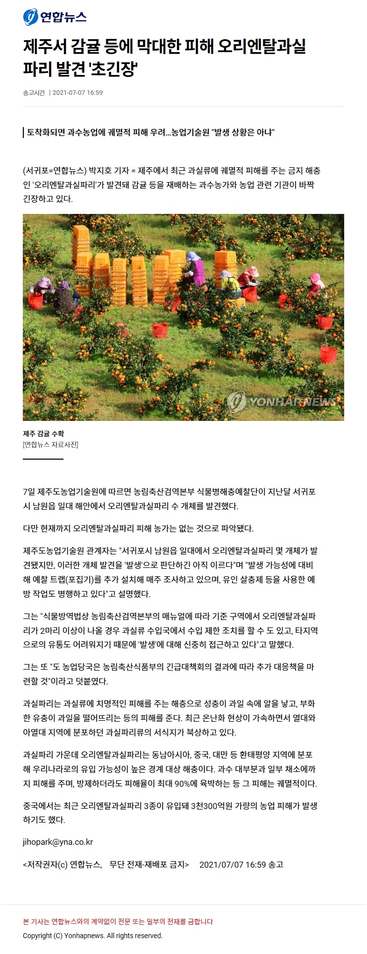 제주서 감귤 등에 막대한 피해 오리엔탈과실파리 발견'초긴장'