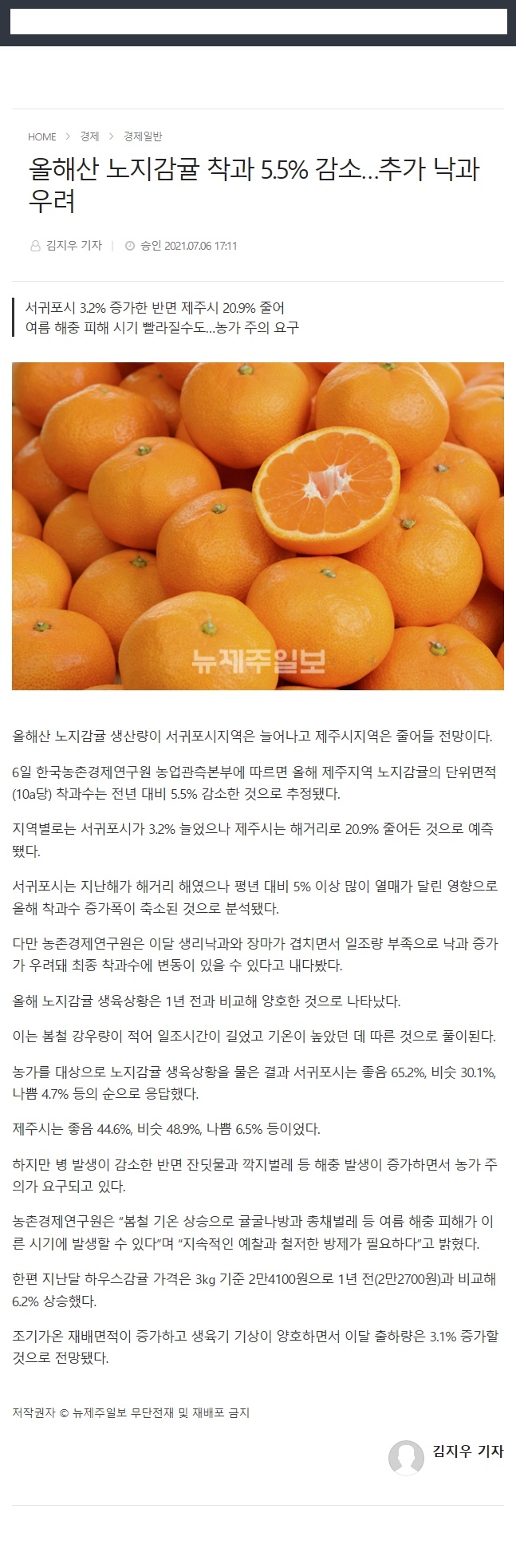 올해산 노지감귤 차과 5.5%감소...추가 낙과 우려