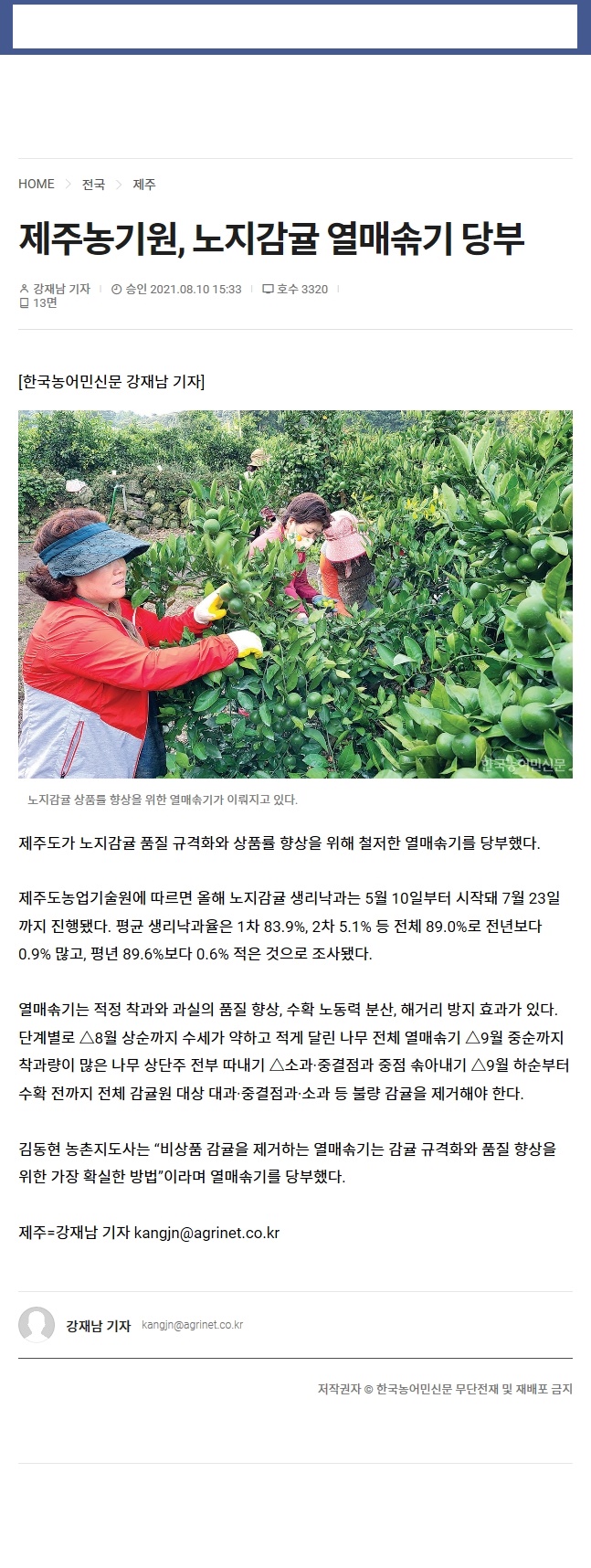 제주농기원, 노지감귤 열매솎기 당부