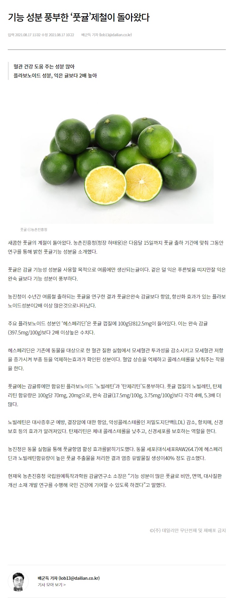 기능 성분 풍부한 ‘풋귤’제철이 돌아왔다