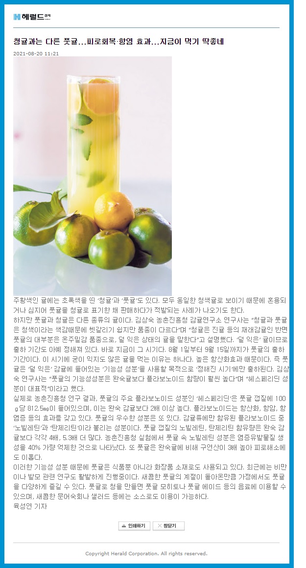 청귤과는 다른 풋귤...피로회복·항염 효과...지금이 먹기 딱좋네