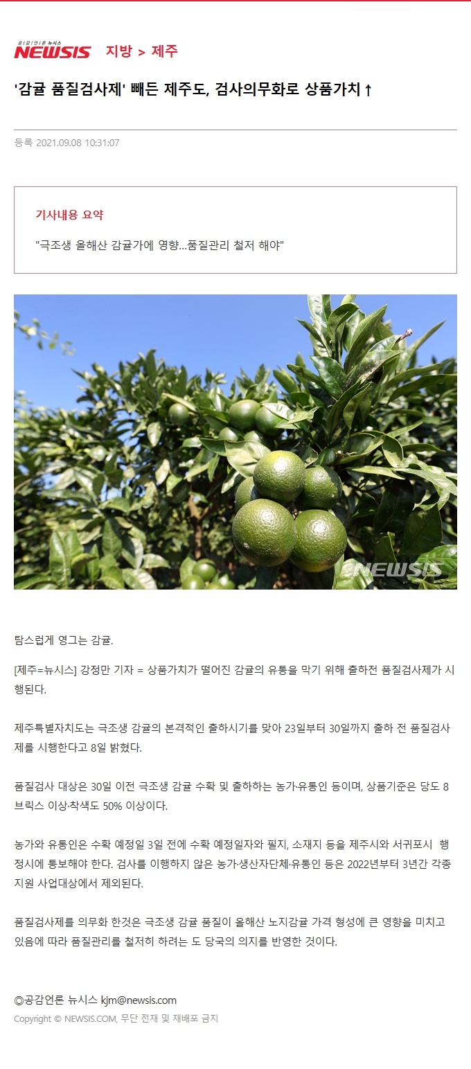 '감귤 품질검사제' 빼든 제주도, 검사의무화로 상품가치↑