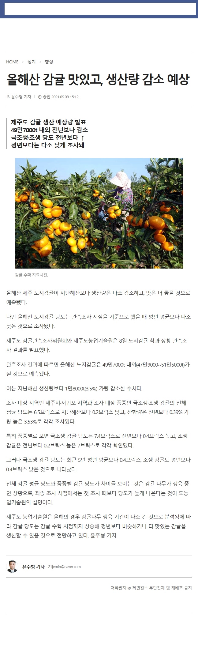 올해산 감귤 맛있고, 생산량 감소 예상