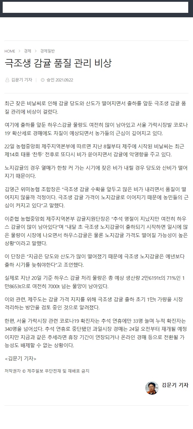 극조생 감귤 품질 관리 비상