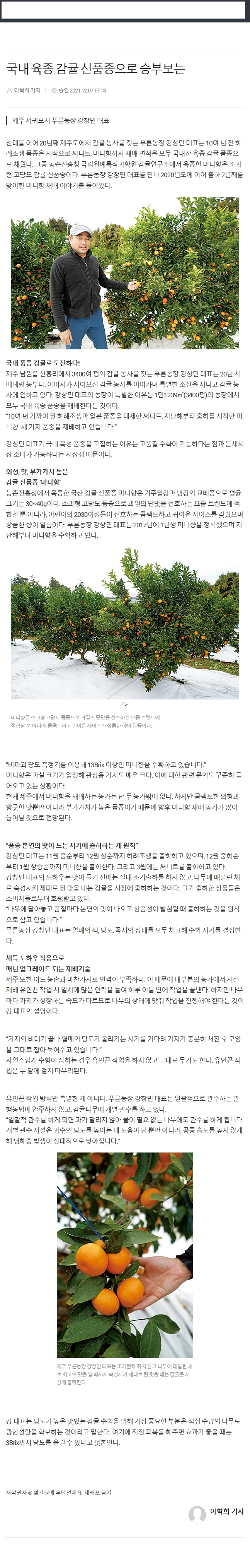 국내 육종 감귤 신품종으로 승부보는