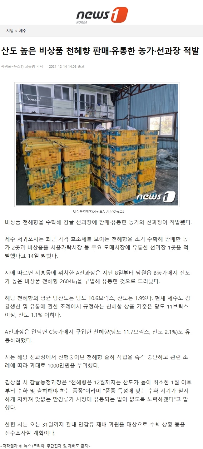산도 높은 비상품 천혜향 판매·유통한 농가·선과장 적발