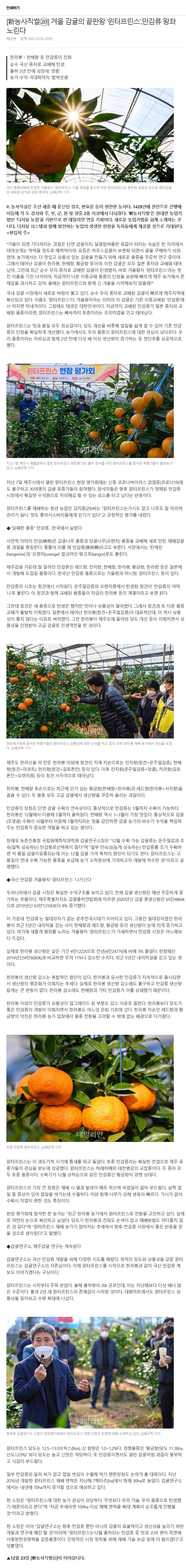 [新농사직썰&#9331;] 겨울 감귤의 끝판왕 '윈터프린스'..만감류 왕좌 노린다