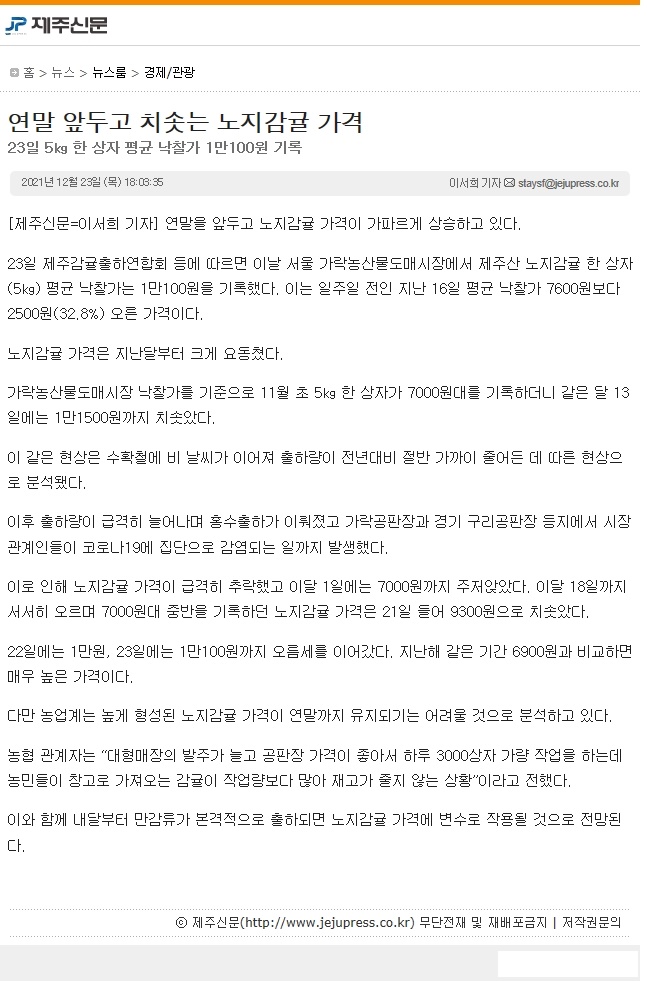 연말 앞두고 치솟는 노지감귤 가격