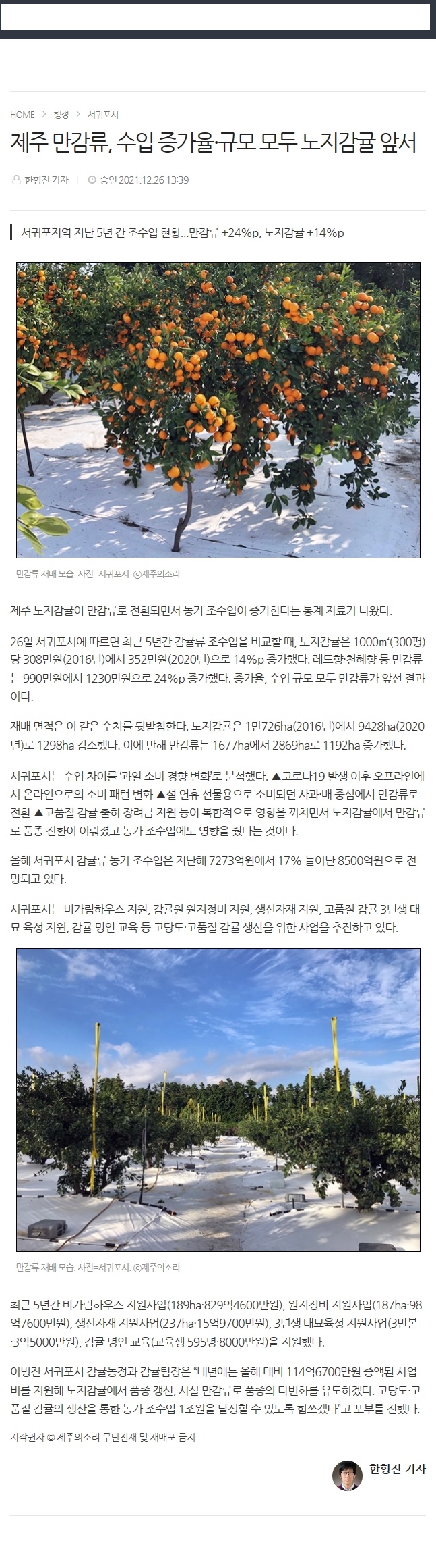 제주 만감류, 수입 증가율·규모 모두 노지감귤 앞서