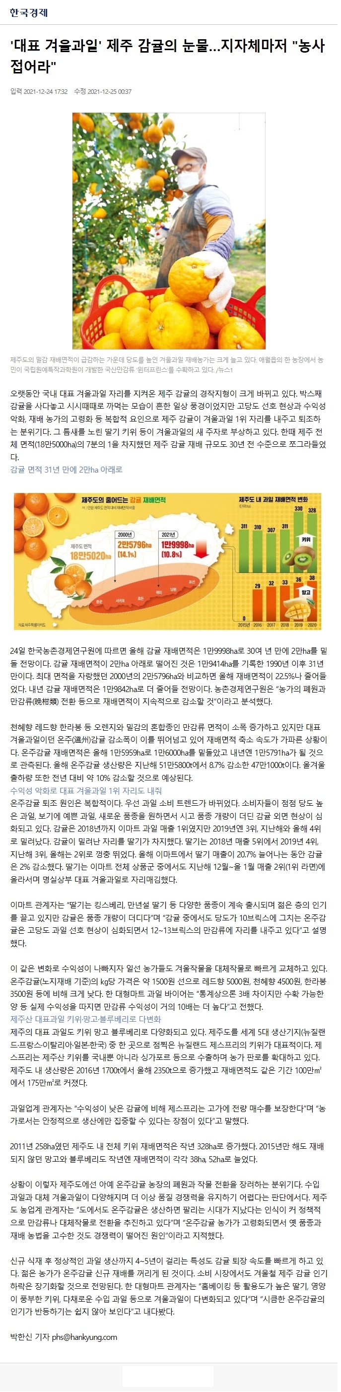 '대표 겨울과일' 제주 감귤의 눈물…지자체마저 "농사 접어라"