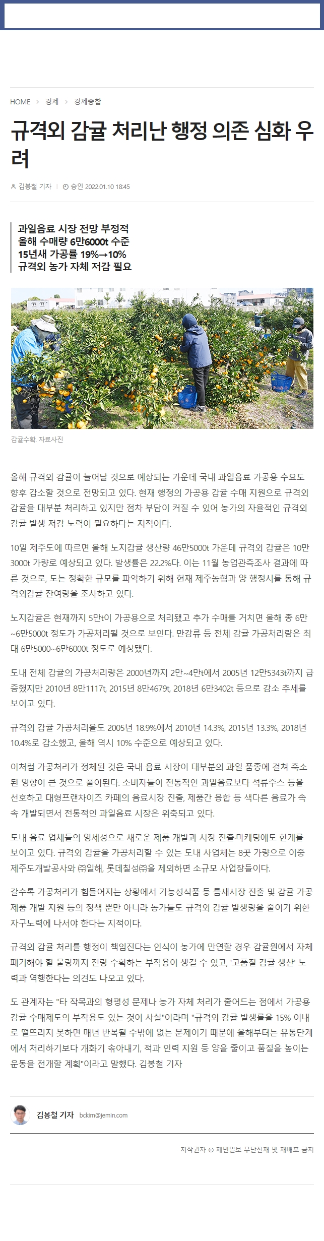규격외 감귤 처리난 행정 의존 심화 우려