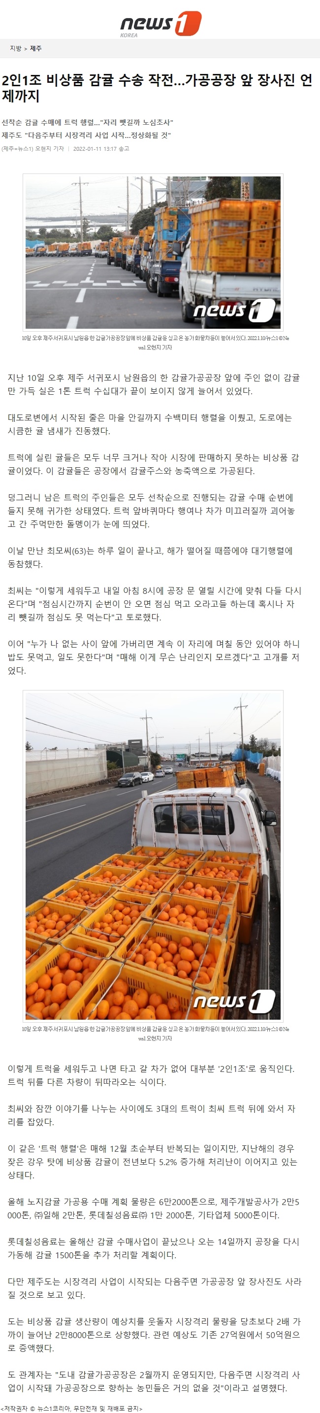 2인1조 비상품 감귤 수송 작전…가공공장 앞 장사진 언제까지
