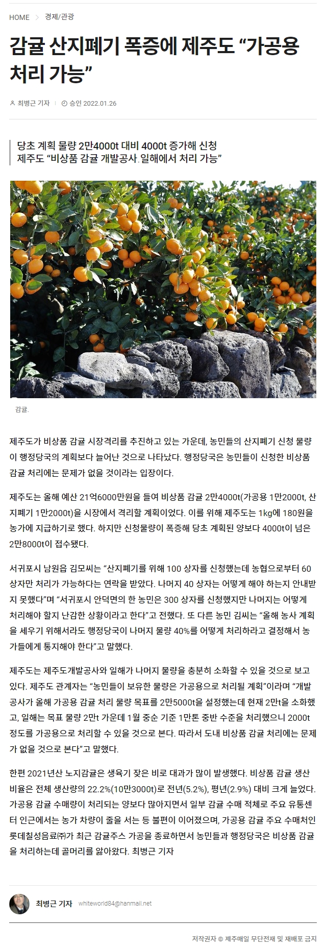 감귤 산지폐기 폭증에 제주도 “가공용 처리 가능”