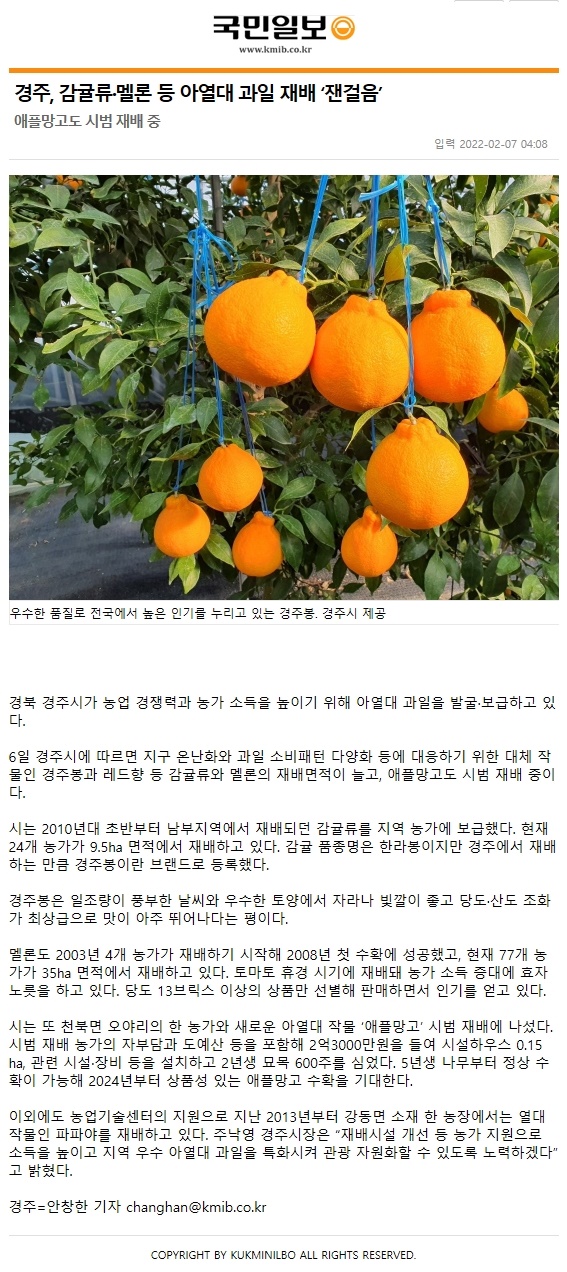 경주, 감귤류·멜론 등 아열대 과일 재배 ‘잰걸음’