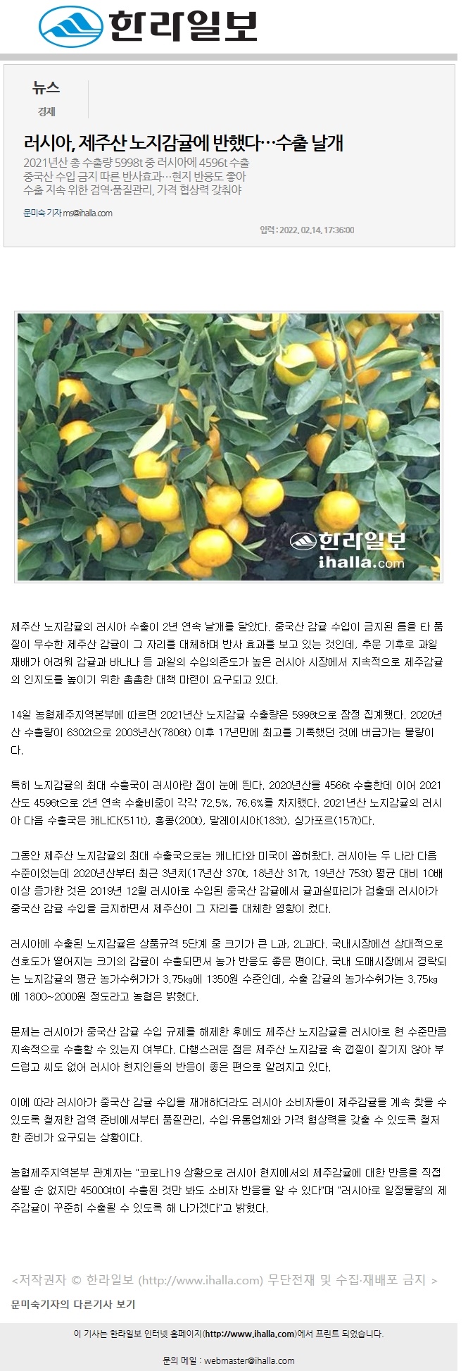러시아, 제주산 노지감귤에 반했다…수출 날개