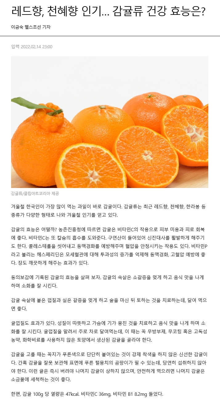 레드향, 천혜향 인기… 감귤류 건강 효능은?