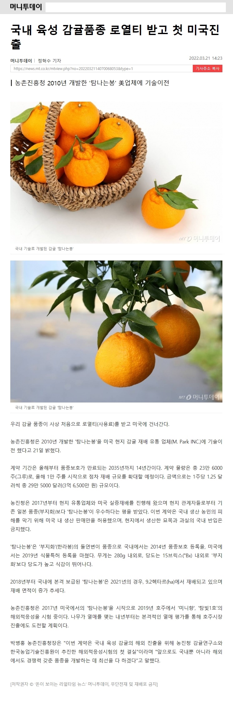 국내 육성 감귤품종 로열티 받고 첫 미국진출