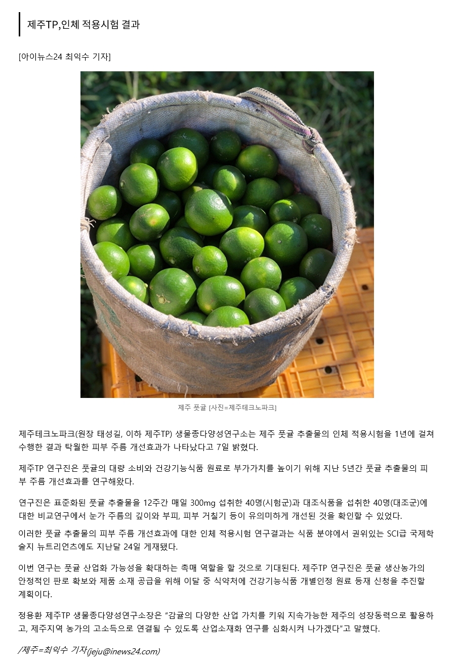 "제주 풋귤,피부 주름 개선효과"