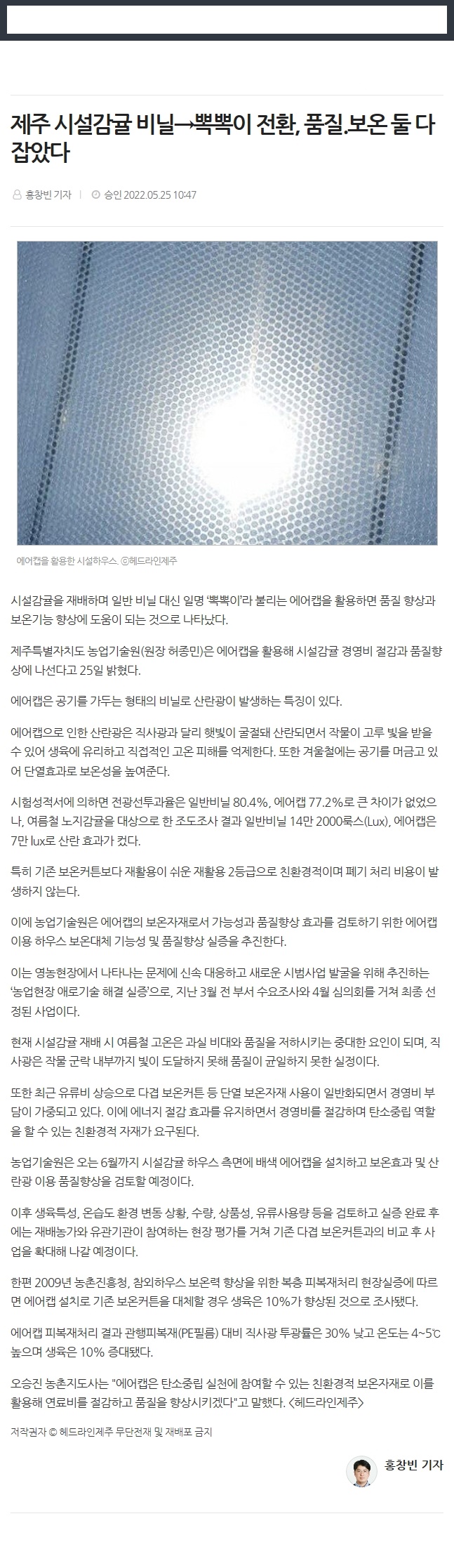 제주 시설감귤 비닐→뽁뽁이 전환, 품질.보온 둘 다 잡았다
