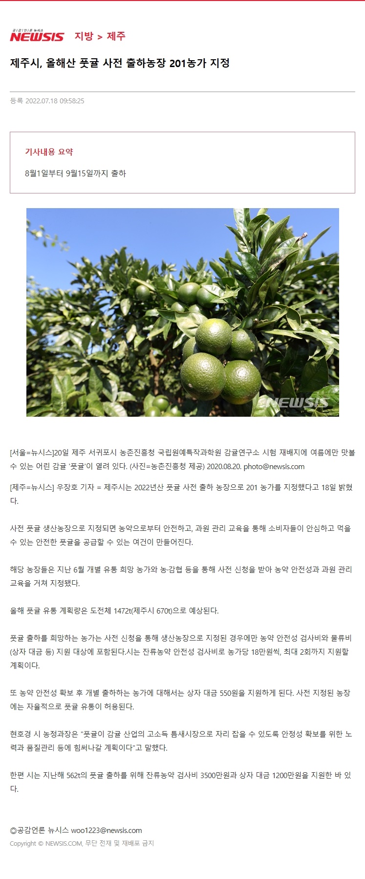 제주시, 올해산 풋귤 사전 출하농장 201농가 지정