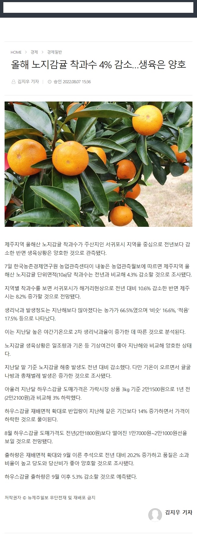 올해 노지감귤 착과수 4% 감소…생육은 양호