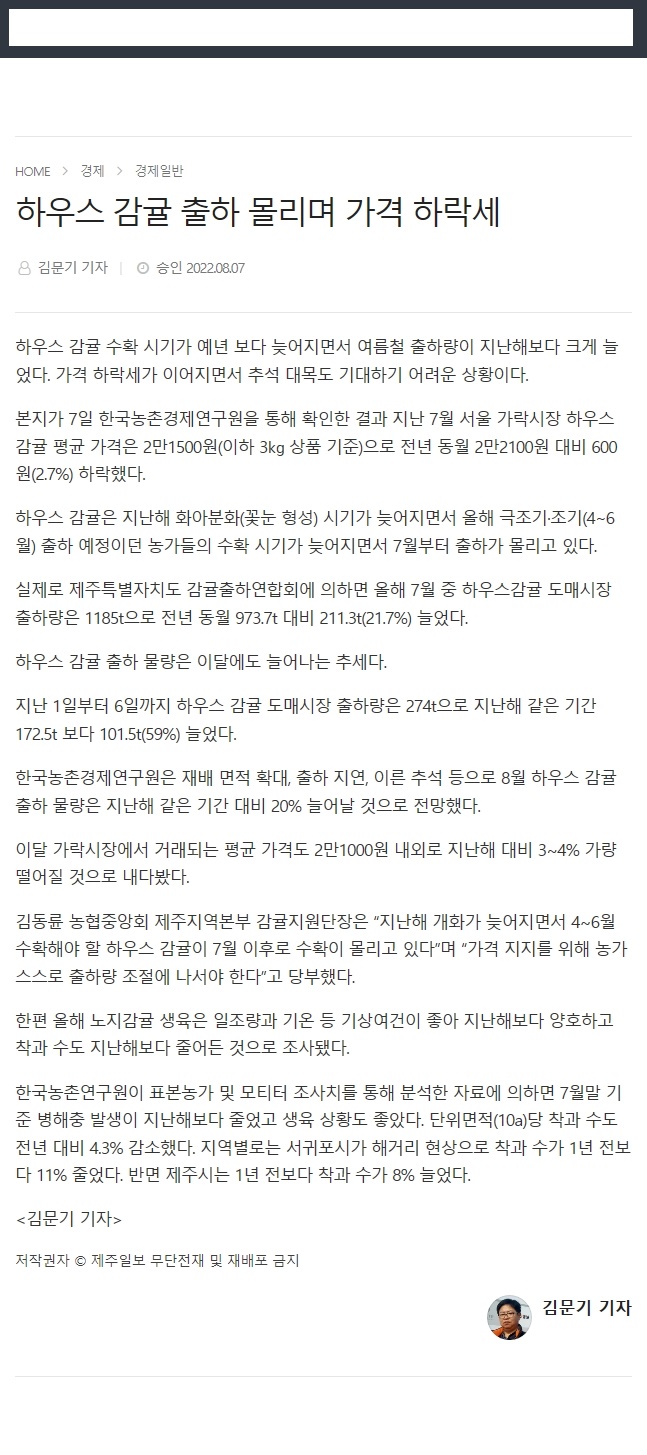하우스 감귤 출하 몰리며 가격 하락세