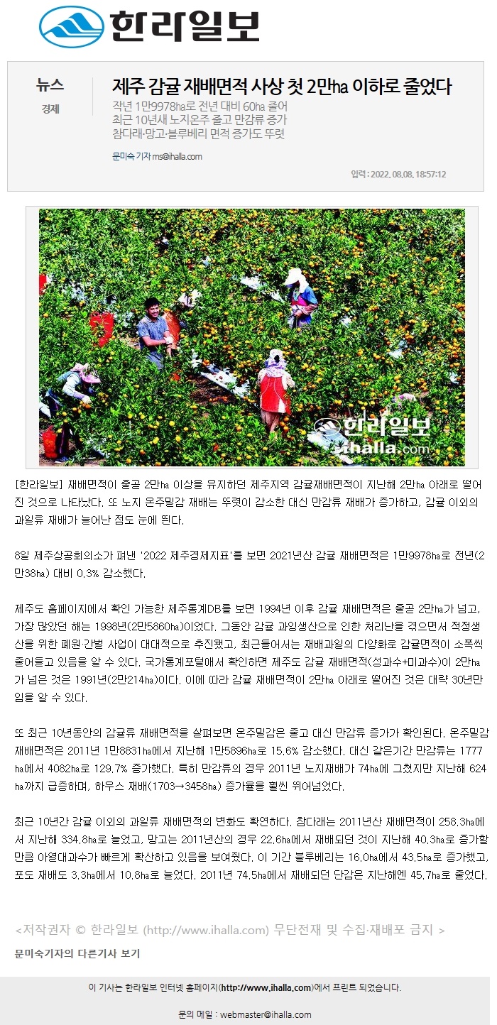 제주 감귤 재배면적 사상 첫 2만㏊ 이하로 줄었다