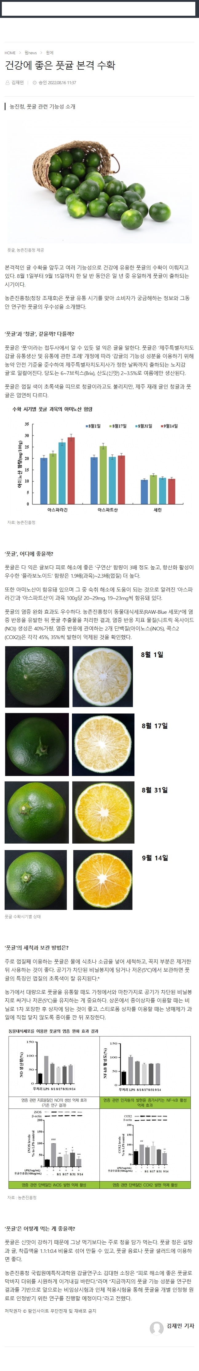 건강에 좋은 풋귤 본격 수확