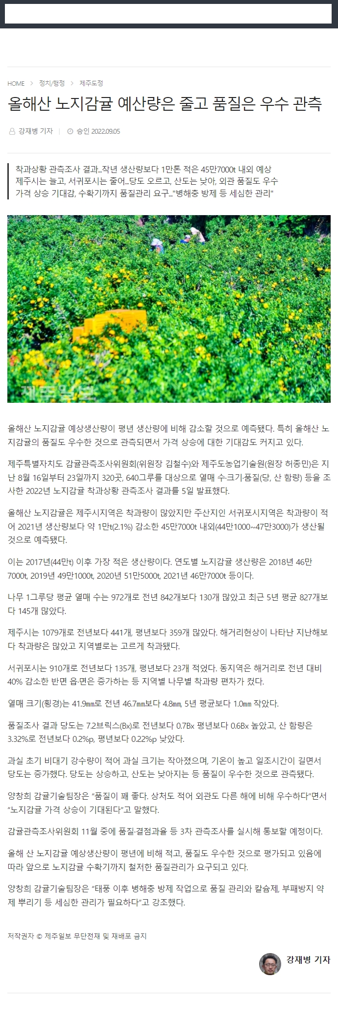 올해산 노지감귤 예산량은 줄고 품질은 우수 관측