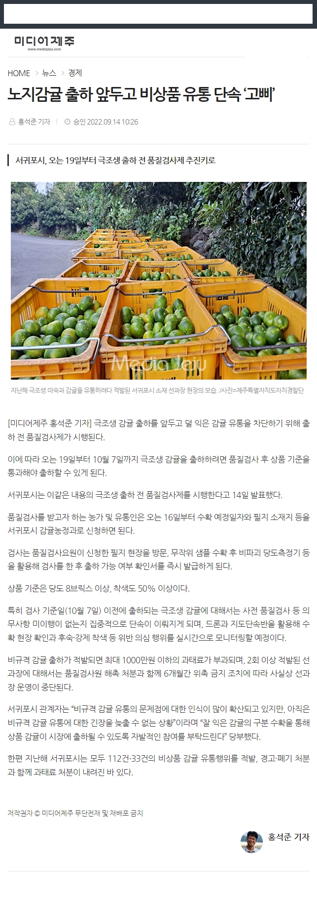 노지감귤 출하 앞두고 비상품 유통 단속 ‘고삐’
