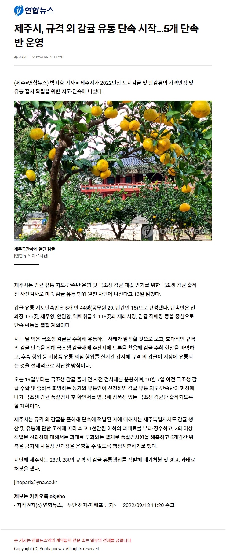 제주시, 규격 외 감귤 유통 단속 시작…5개 단속반 운영
