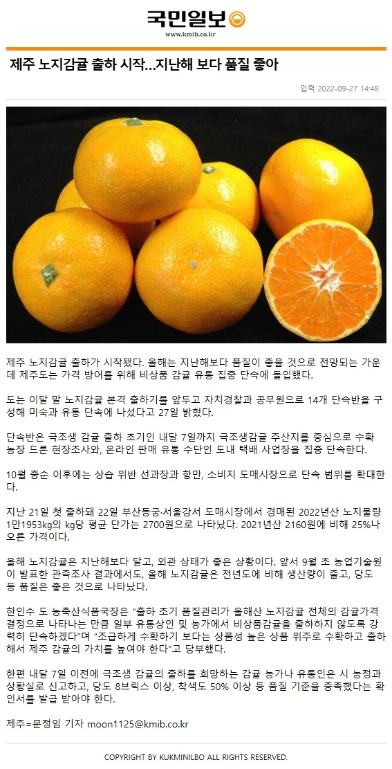 제주 노지감귤 출하 시작…지난해 보다 품질 좋아