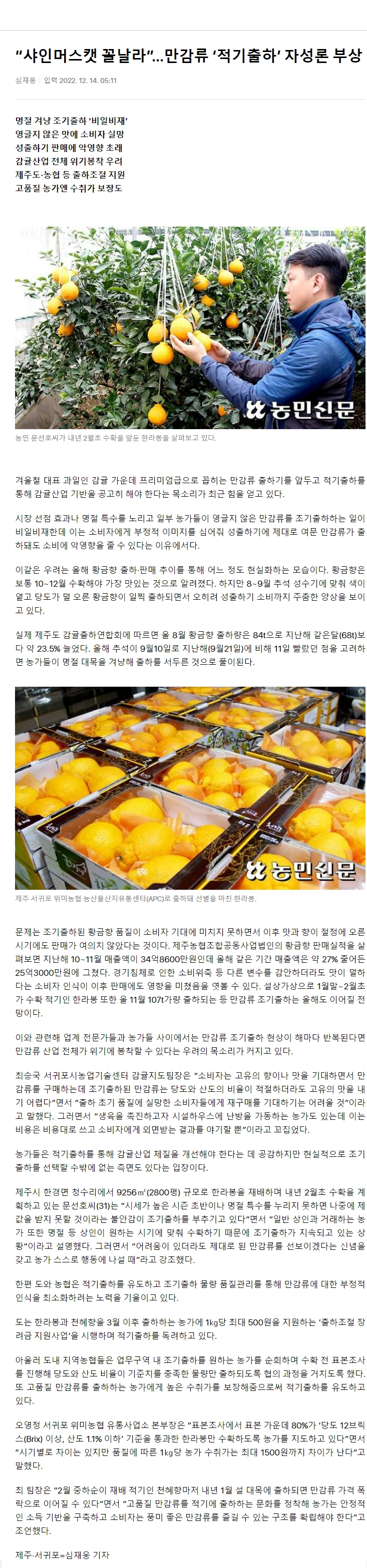 “샤인머스캣 꼴날라”…만감류 ‘적기출하’ 자성론 부상