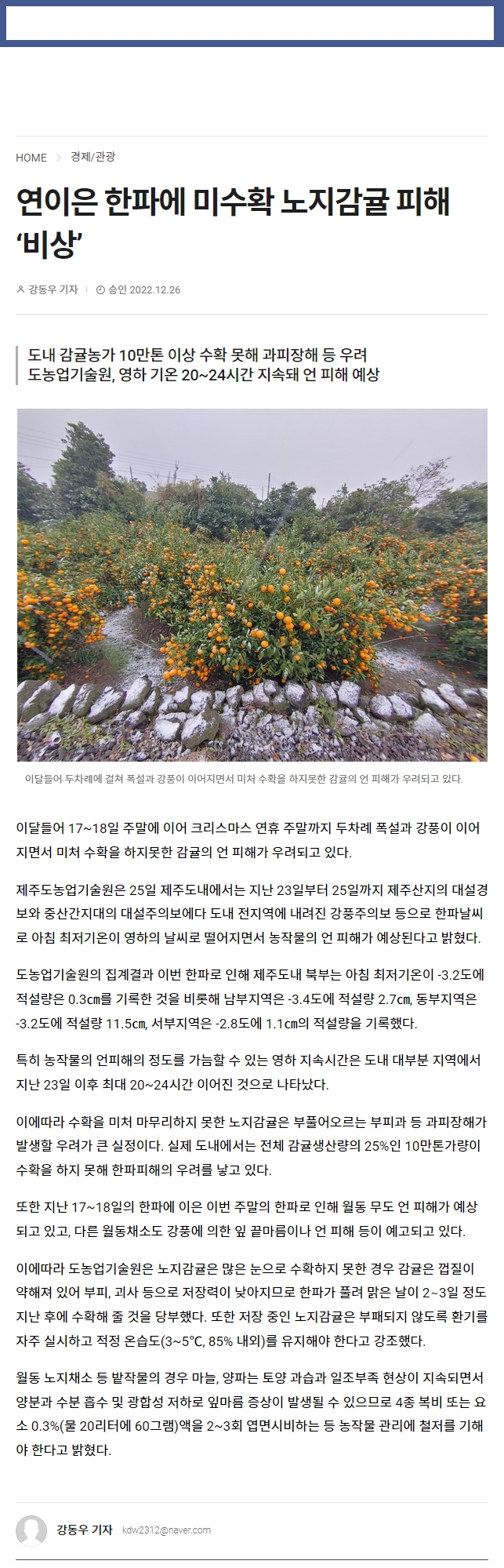 연이은 한파에 미수확 노지감귤 피해 ‘비상’