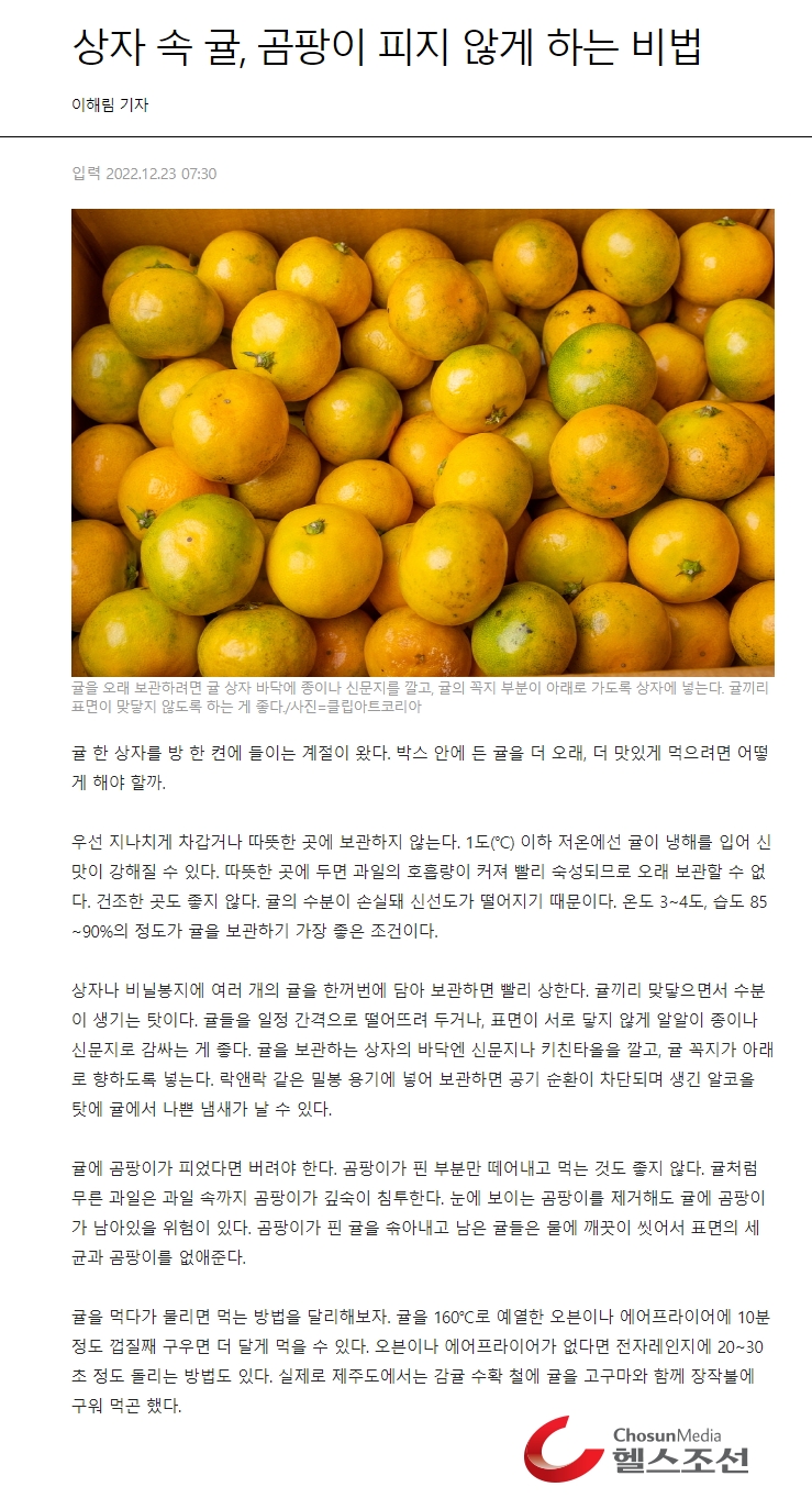 상자 속 귤, 곰팡이 피지 않게 하는 비법