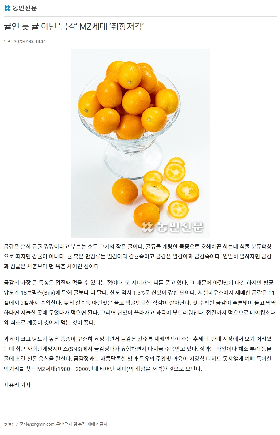 귤인 듯 귤 아닌 ‘금감’ MZ세대 ‘취향저격’