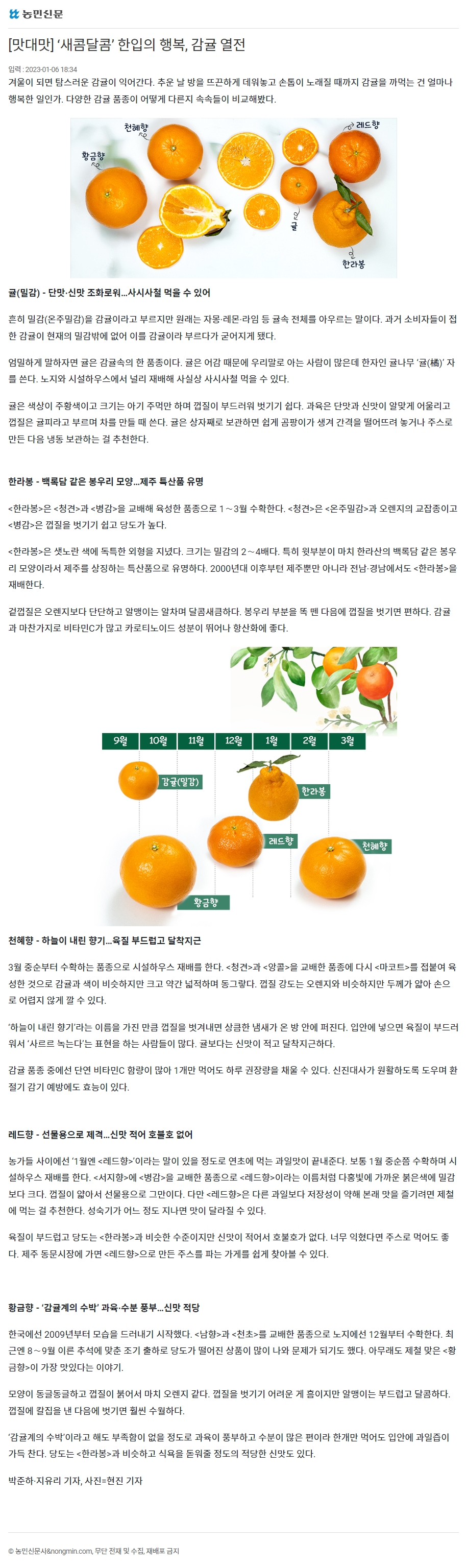 [맛대맛] ‘새콤달콤’ 한입의 행복, 감귤 열전
