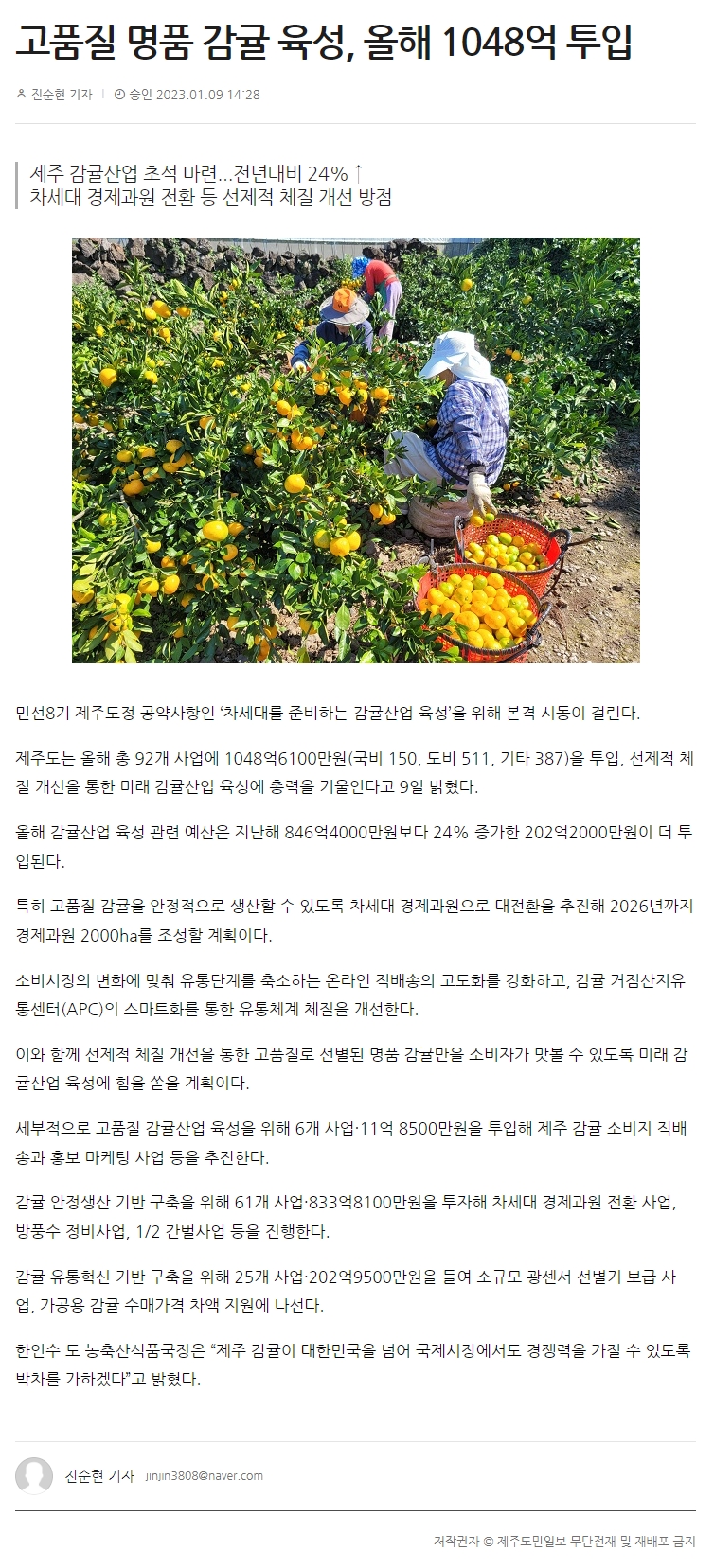 고품질 명품 감귤 육성, 올해 1048억 투입