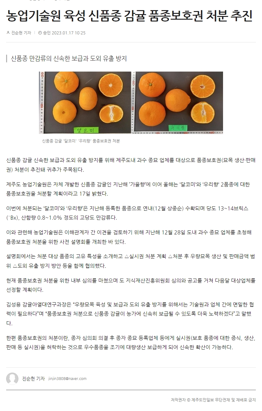 농업기술원 육성 신품종 감귤 품종보호권 처분 추진