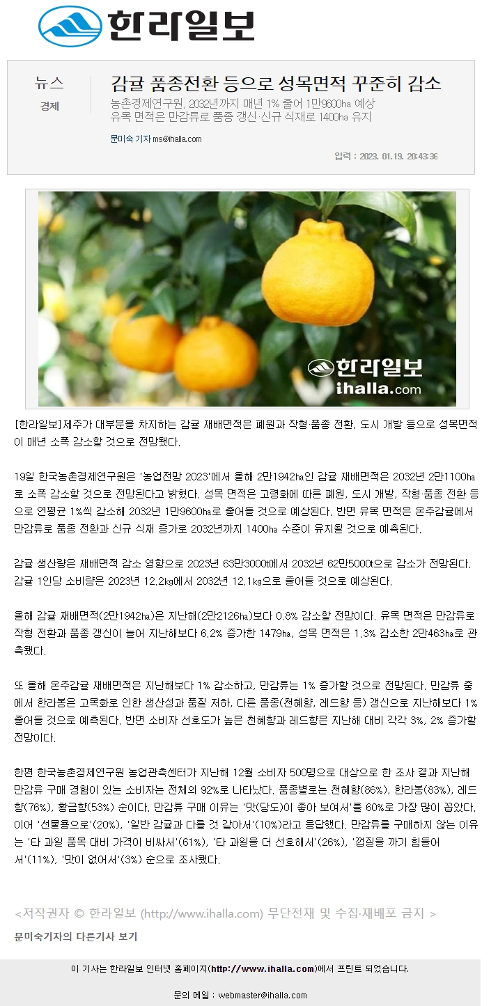 감귤 품종전환 등으로 성목면적 꾸준히 감소