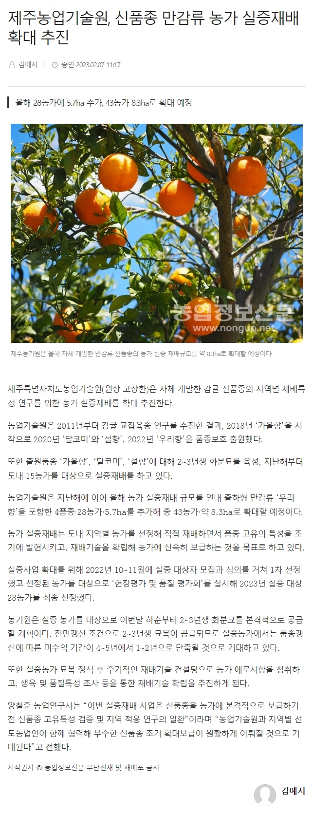 제주농업기술원, 신품종 만감류 농가 실증재배 확대 추진