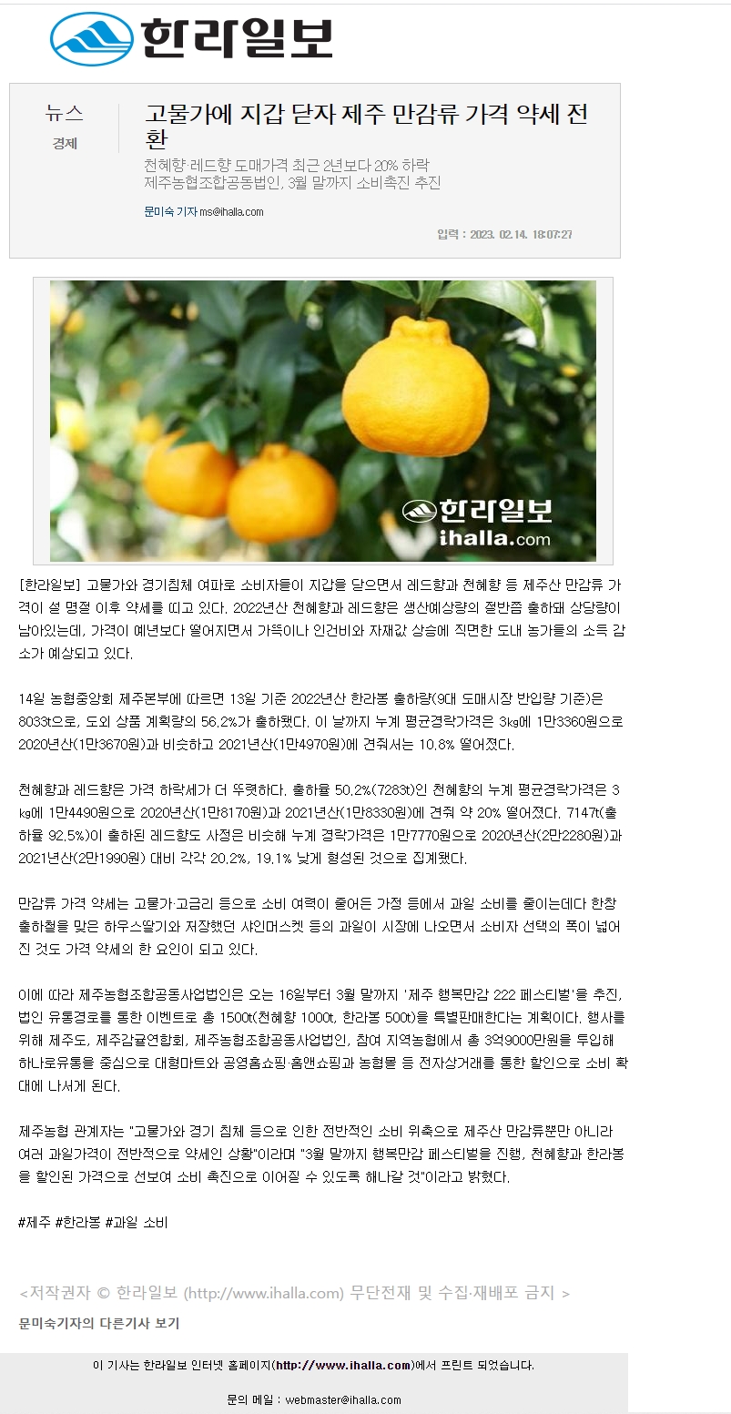 고물가에 지갑 닫자 제주 만감류 가격 약세 전환
