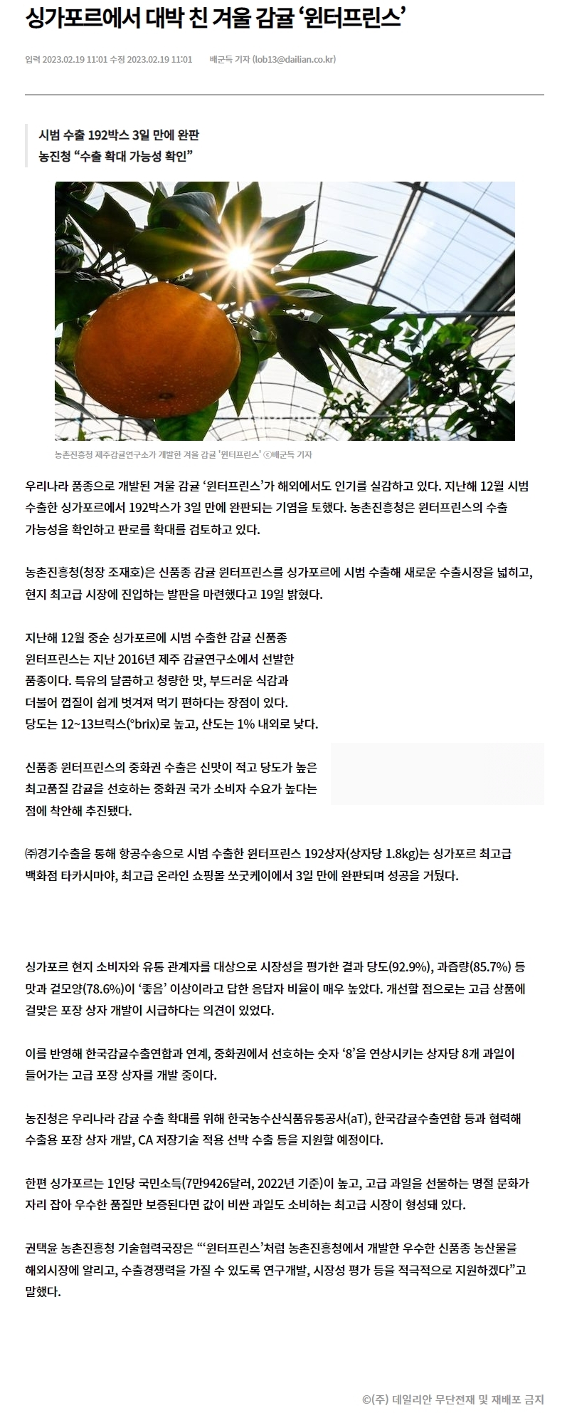 싱가포르에서 대박 친 겨울 감귤 ‘윈터프린스’